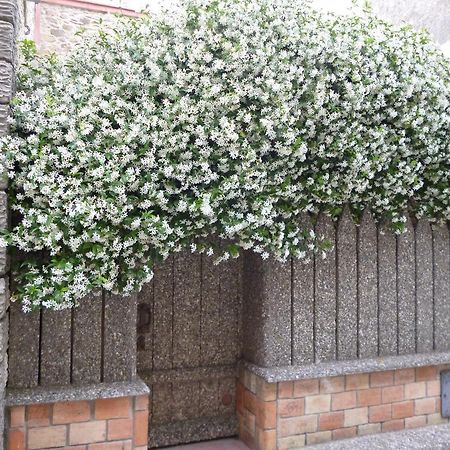 Chambres D'Hotes La Rose Des Vents Ginestas Bagian luar foto